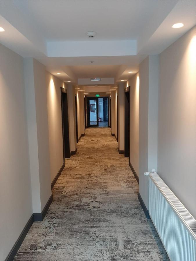 Artemis Hotel Baile Herculane Exterior photo